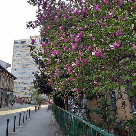 Hansa Apartment Σαράγεβο Εξωτερικό φωτογραφία